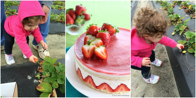 Strawberry Fraisier from LoveandConfections.com #SundaySupper