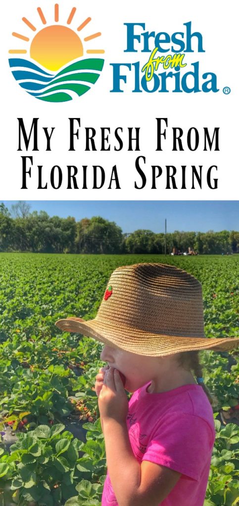 My #FreshFromFlorida Spring from LoveandConfections.com #ad #IC #FollowTheFresh